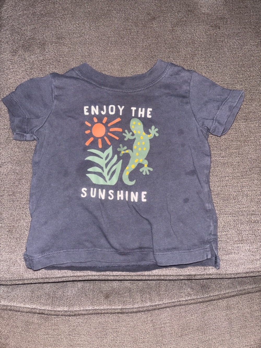 Carter's Navy Tee with Sunshine & Gecko Graphic